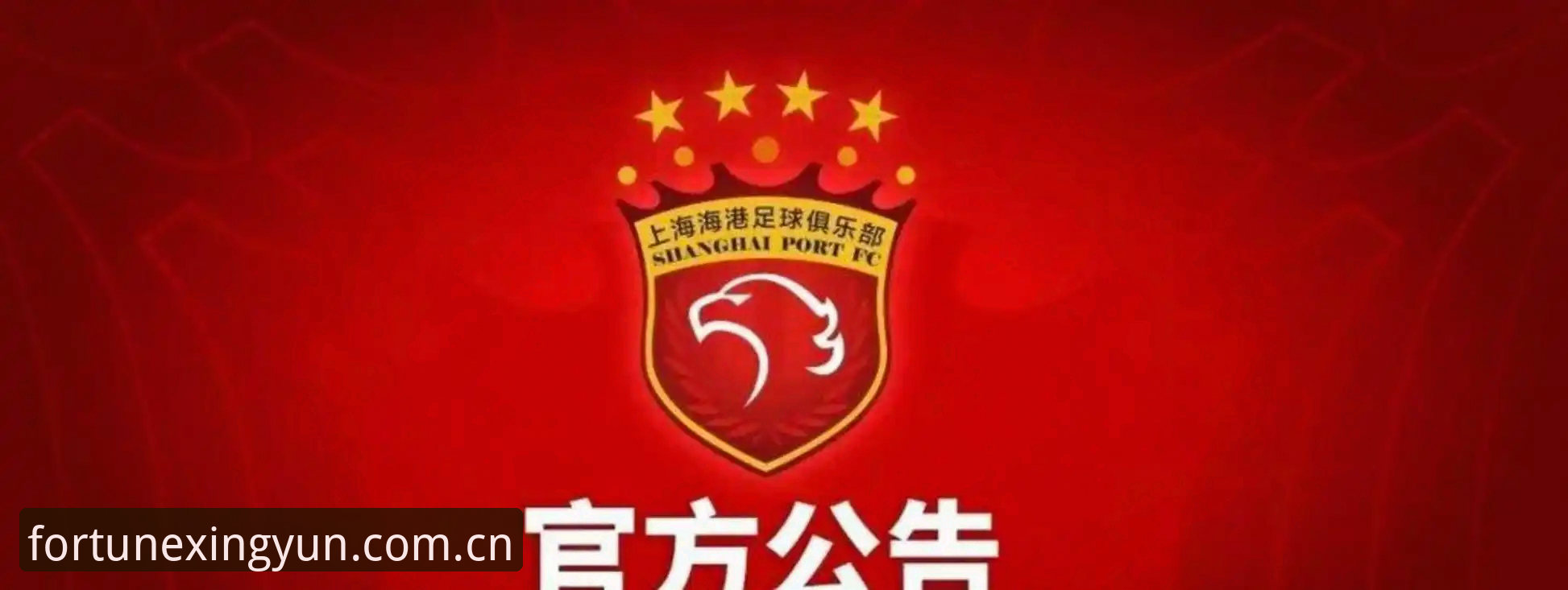 足球反腐风暴实用指南：从足协禁足名单看体育生态净化之道